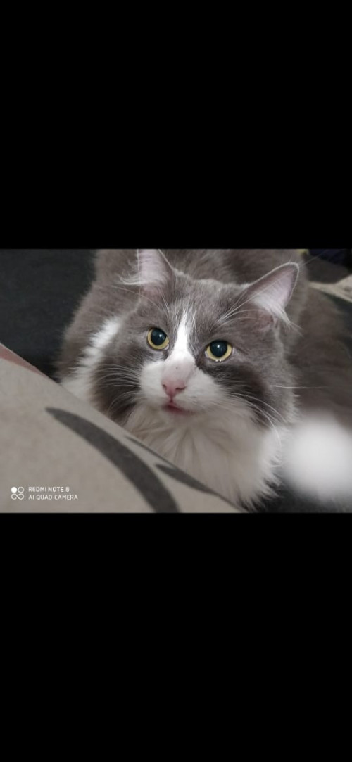 Matias