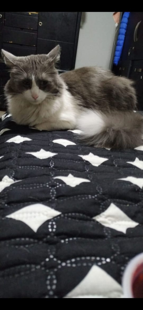 Matias
