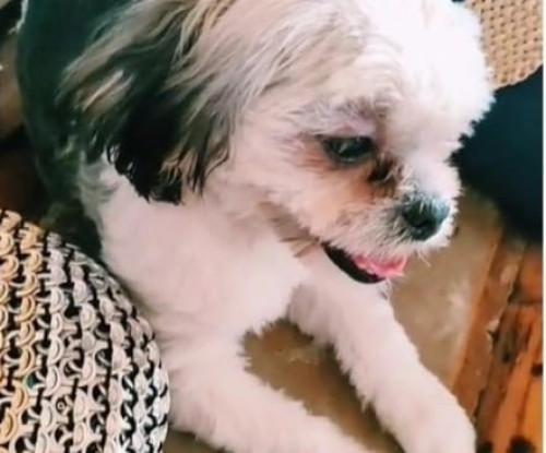 Chilito
