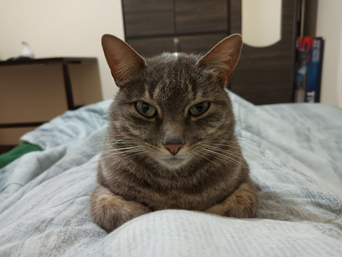 Nina