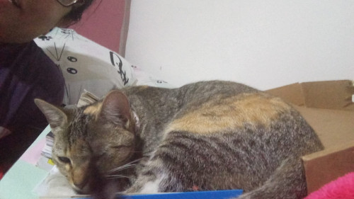 Luna