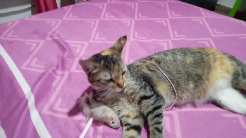 Luna