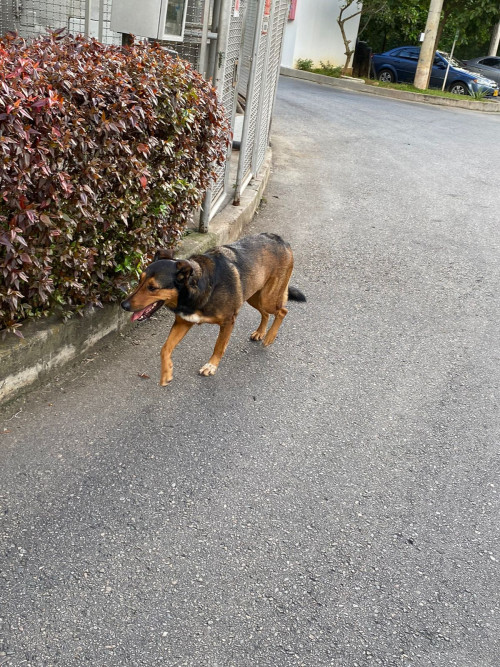 Sam
