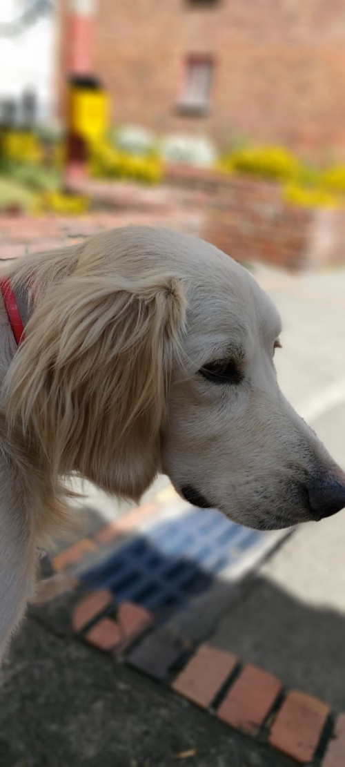 Max