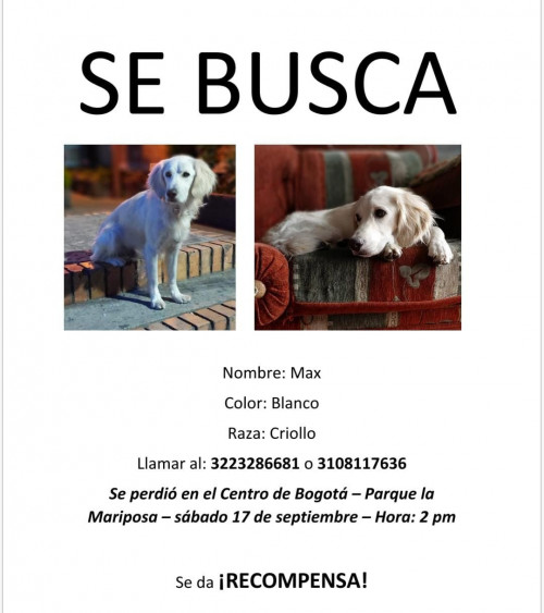 Max