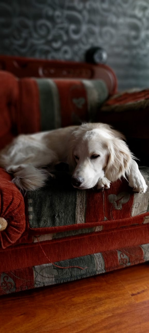 Max
