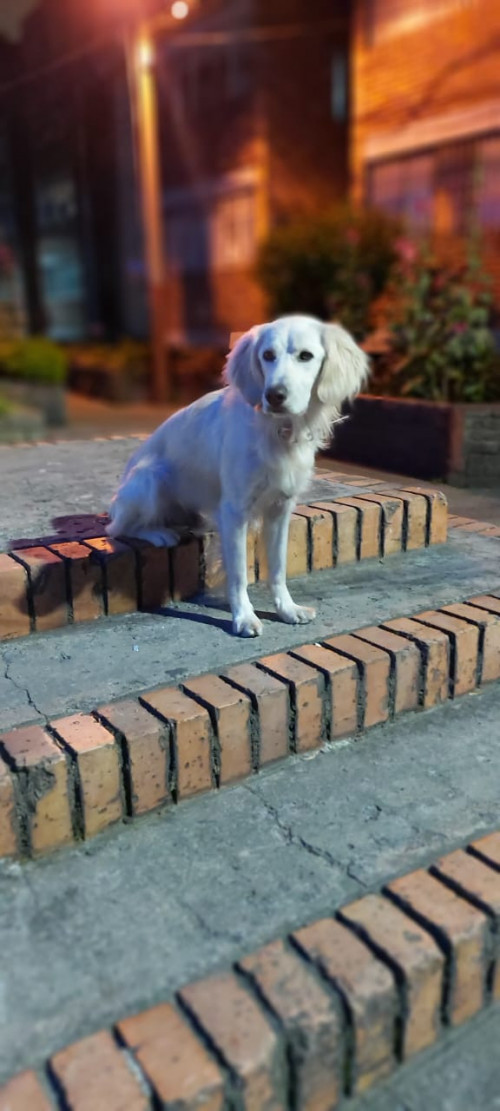 Max