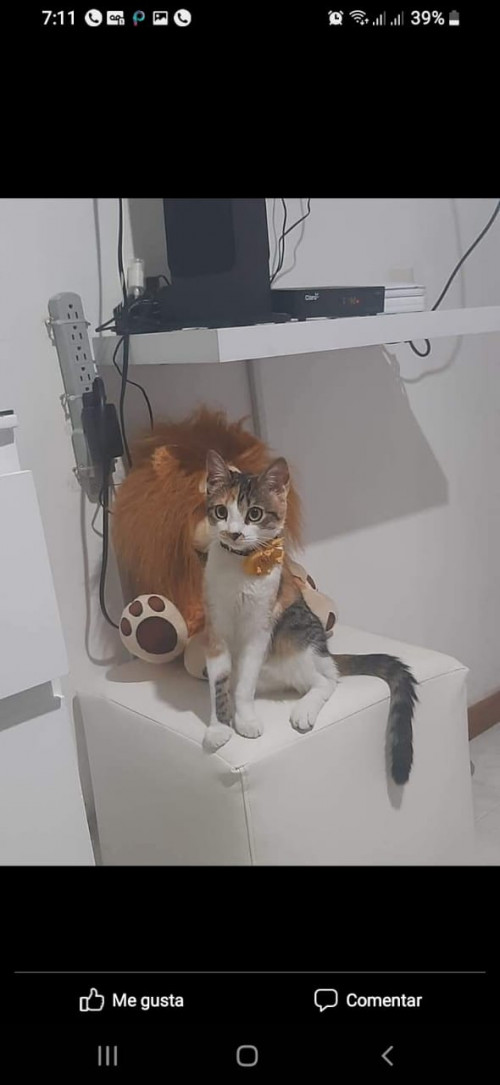 Mía