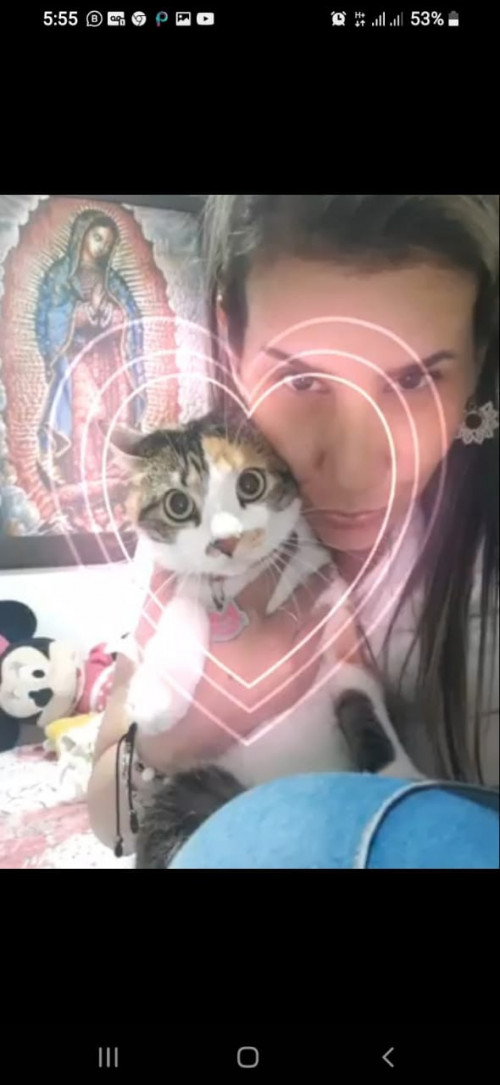 Mía