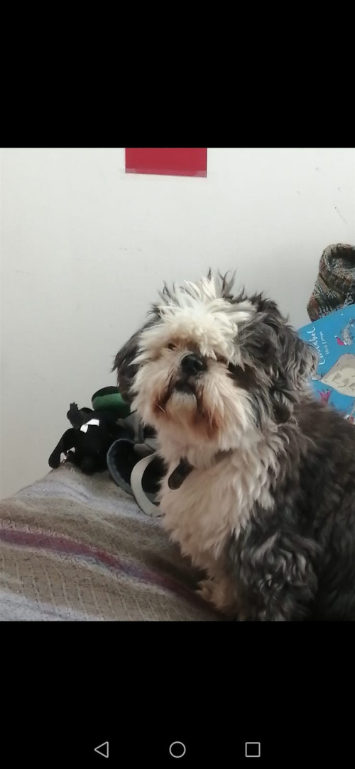 Coco