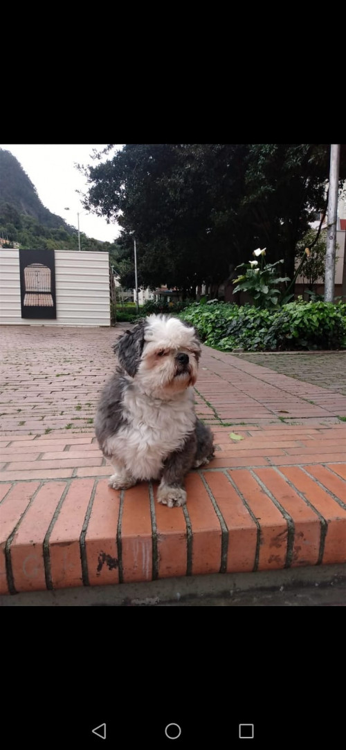Coco