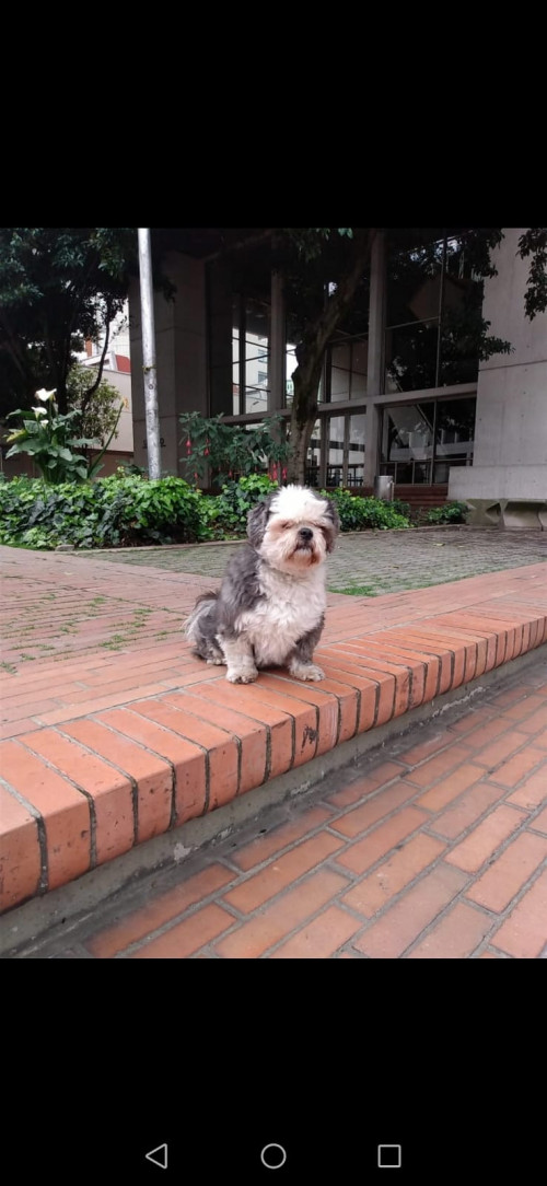 Coco
