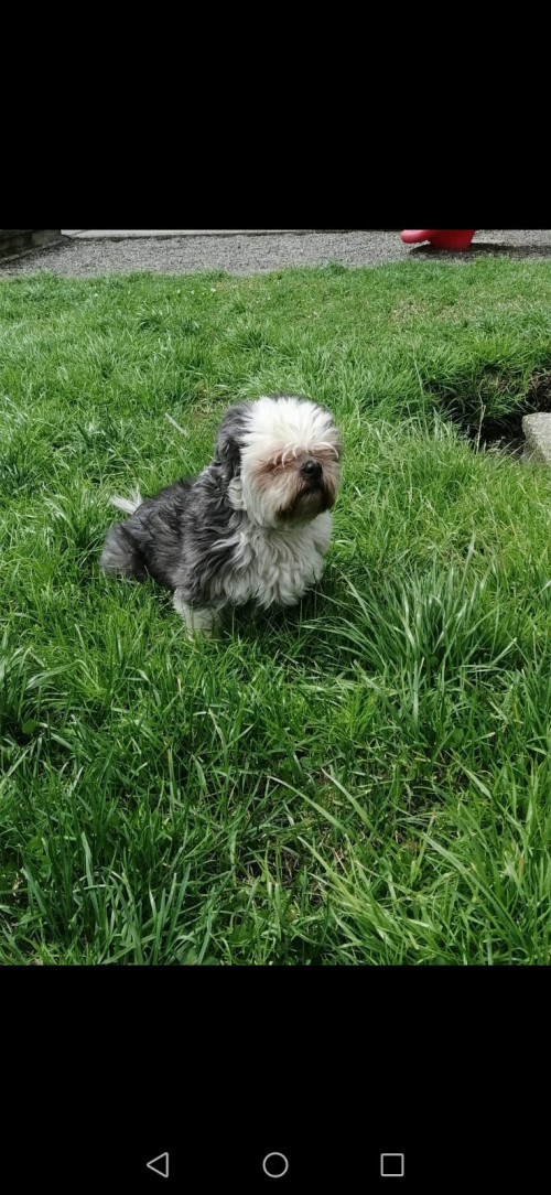 Coco