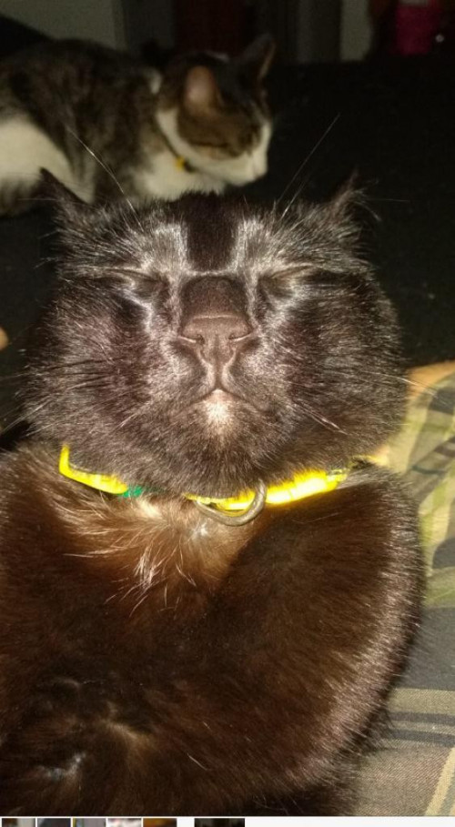 Oliver
