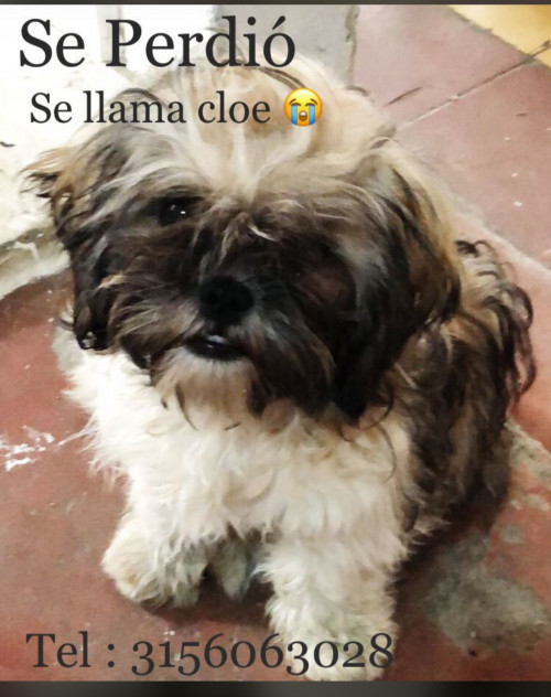 Chloe
