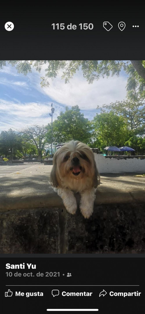Lulú