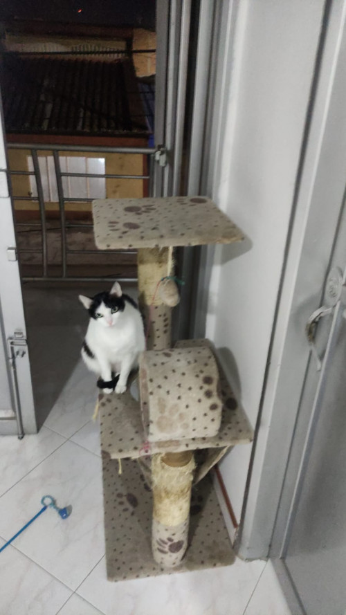 Luna