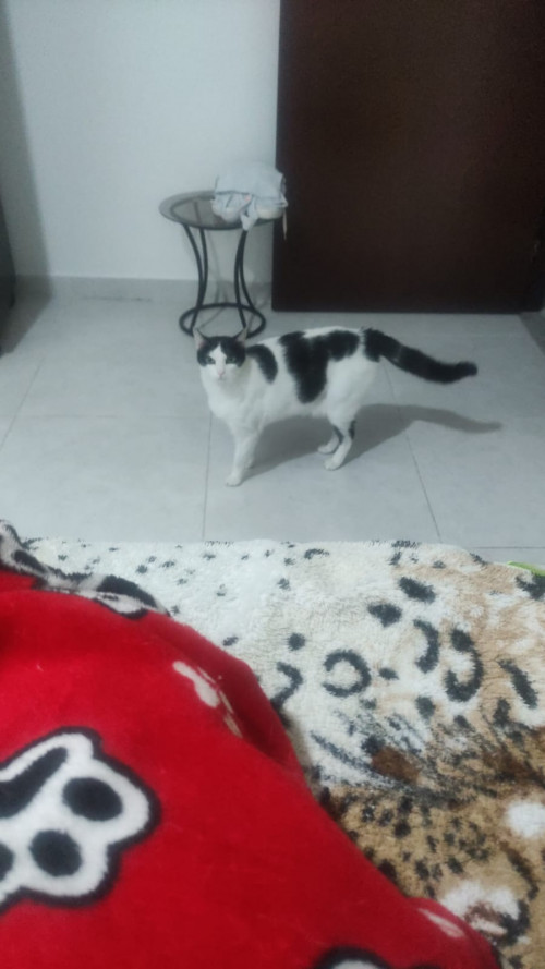 Luna