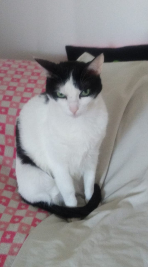 Luna