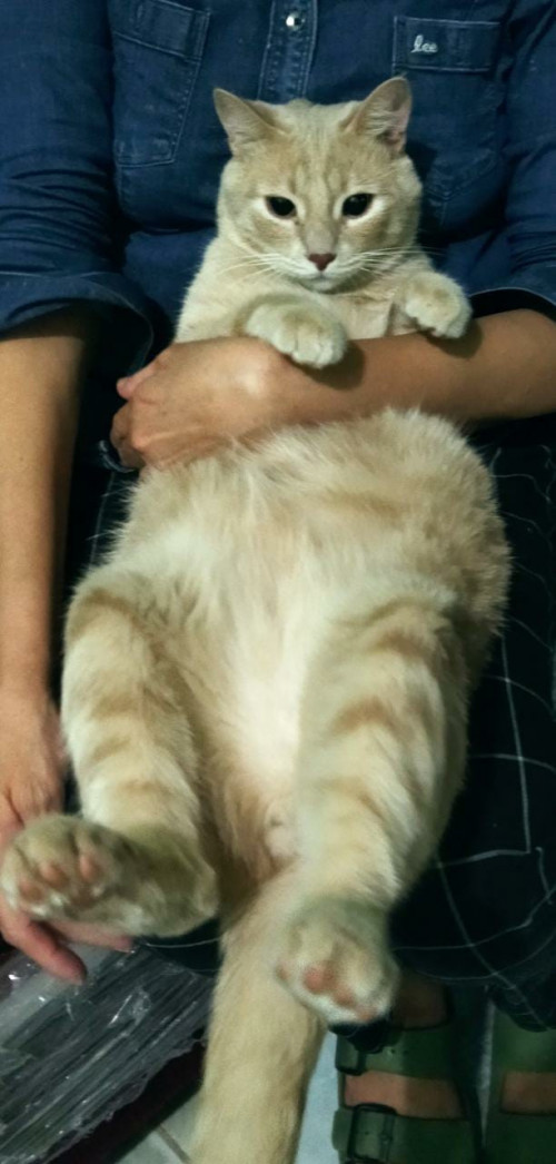 Max