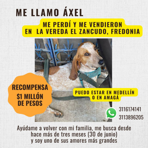 Axel