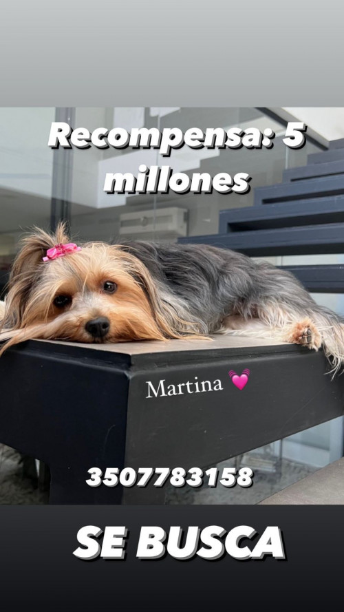 Martina