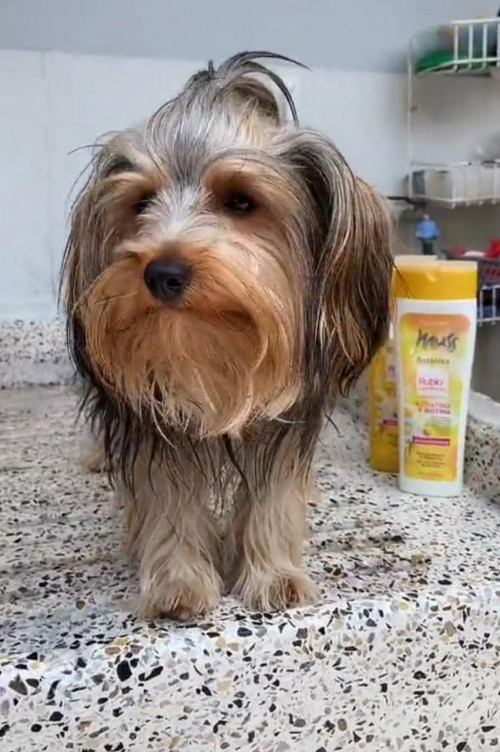 Martina