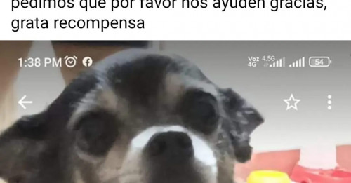 Manchas