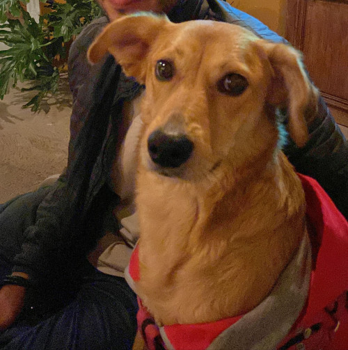 Kayra