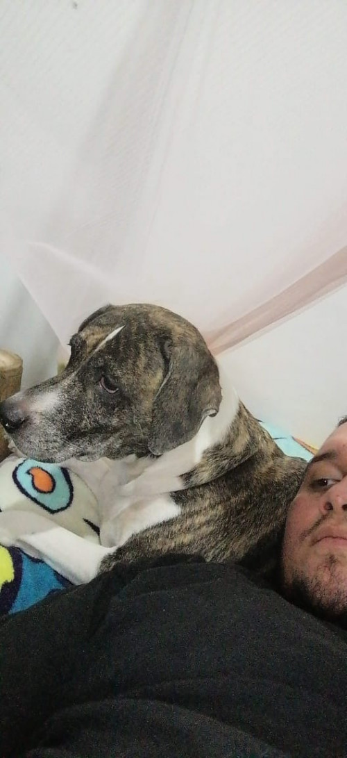 Lola