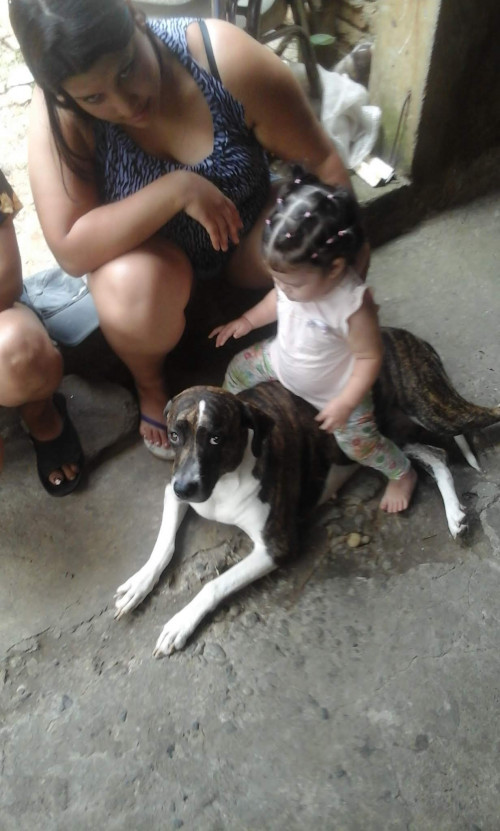 Lola