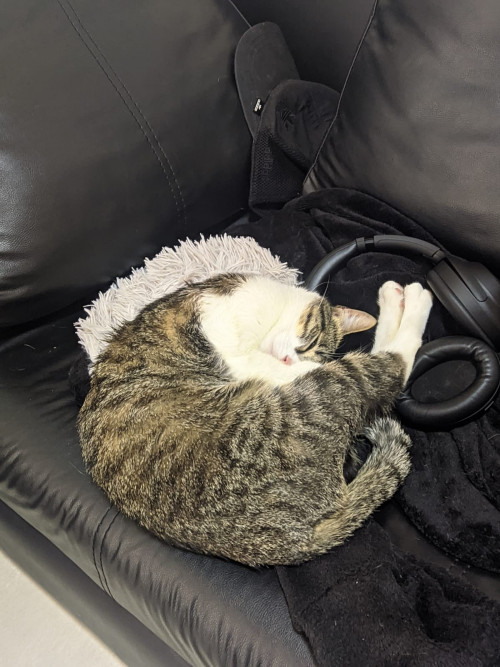 Kali