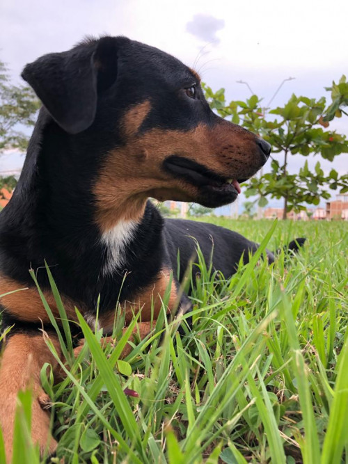 Preciosa