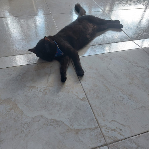 Ares