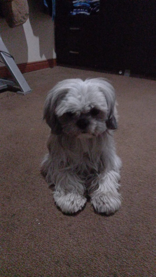 Doqui