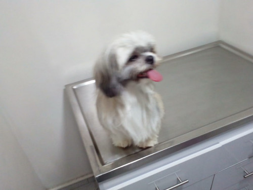 Doqui