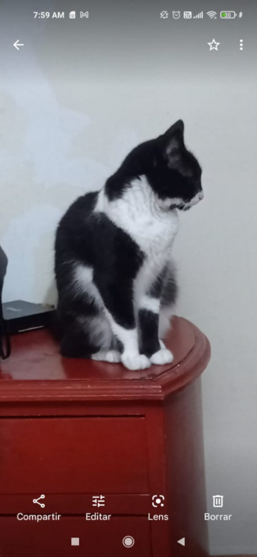 Luna