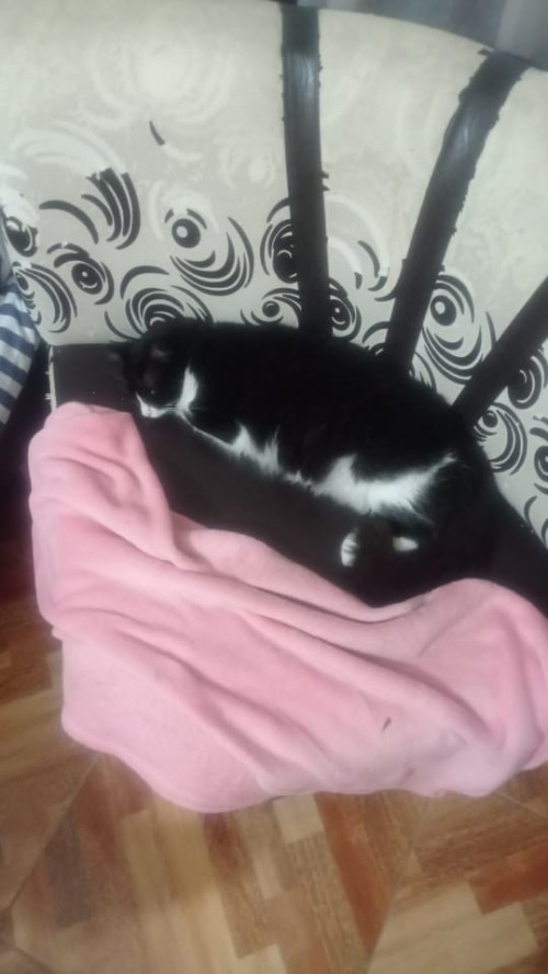 Luna