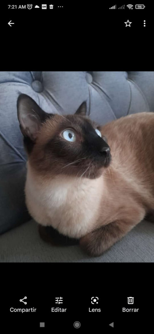Félix