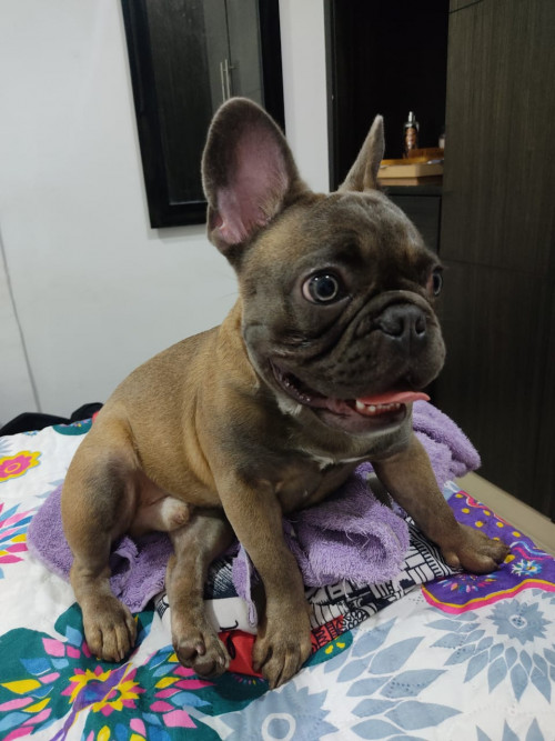 Thor
