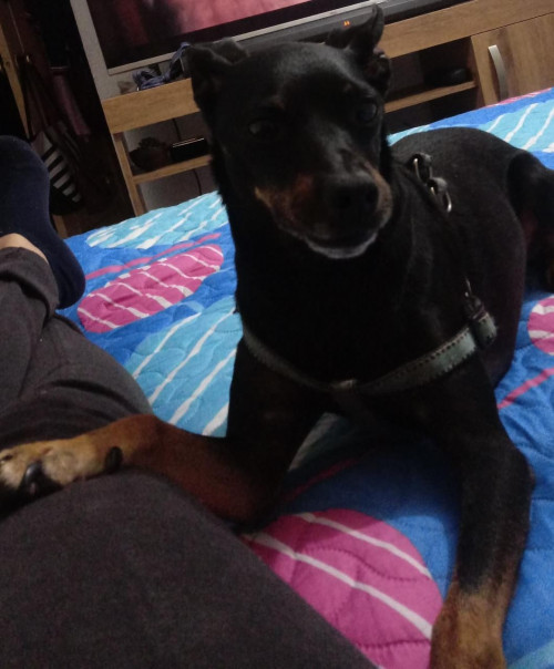Tobby