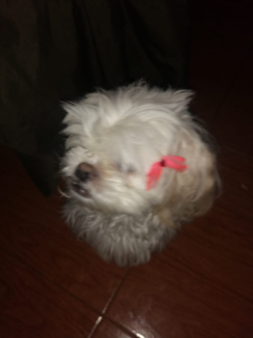 Molly