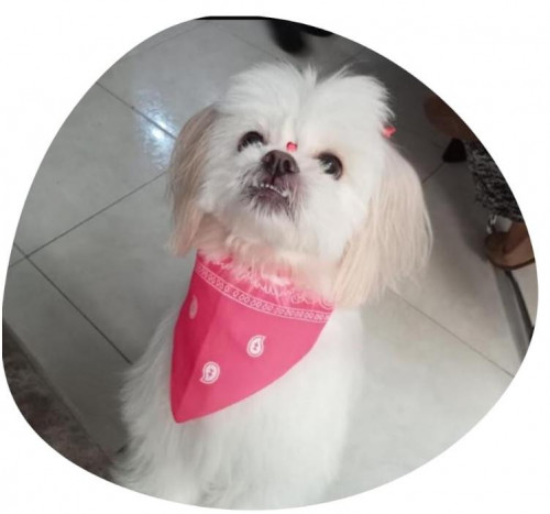 Molly