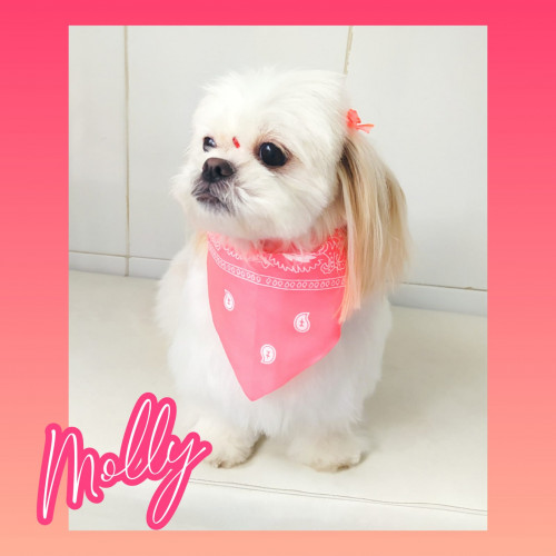 Molly