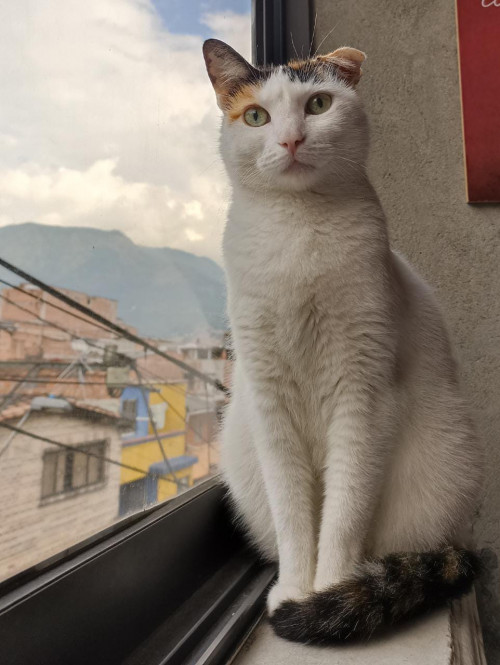 Winnie