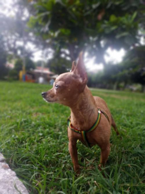 Lupita