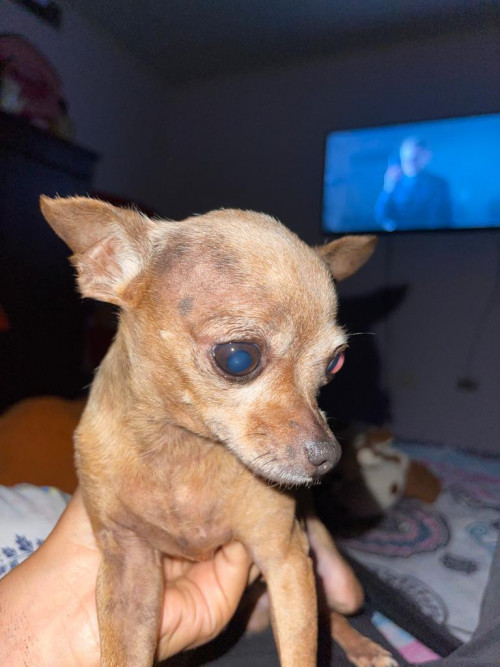 Lupita