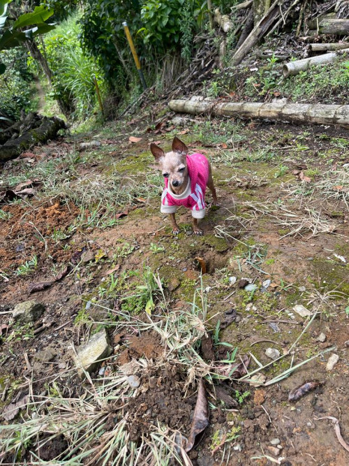 Lupita