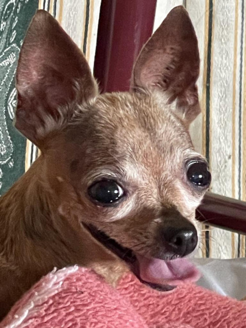 Lupita