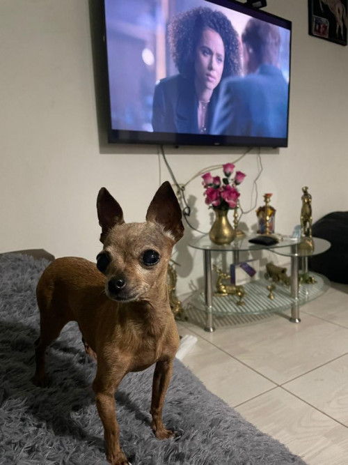 Lupita